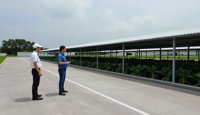 种植技术指导如何引领农业现代化转型